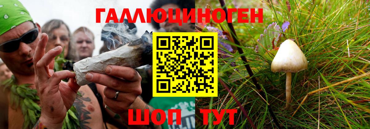 Приморско-Ахтарск  Галлюциногенные грибы MAGIC MUSHROOMS  цена   Вход с VPN 